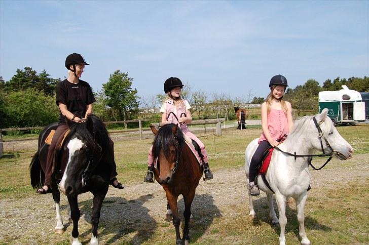 Welsh Cob (sec D) Valhallas Evita - Her er mig og mine døtre på rideferie hos Ute Lehmann - fantastisk ferie billede 6