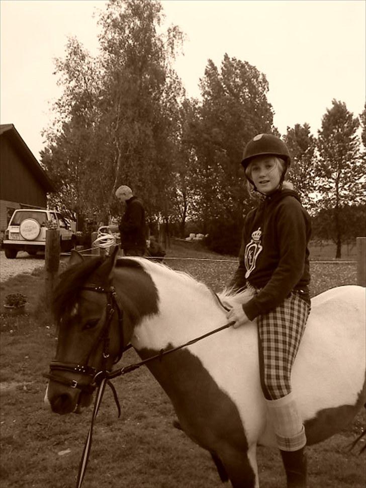 Anden særlig race Rosalia billede 5