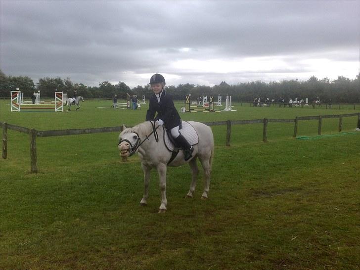 Welsh Pony af Cob-type (sec C) Edelweis Sonny - KLubmester sønder Omme 2010, for de små klasser - Fjolller :) billede 7