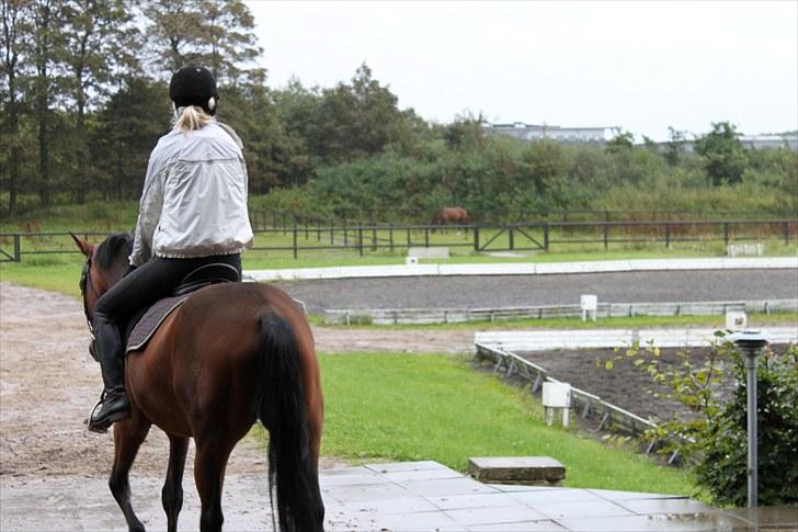 Tysk Sportspony Arking Jump - Tak fordi i kiggede(-; Foto: Mette, d. 15/09/10. billede 20