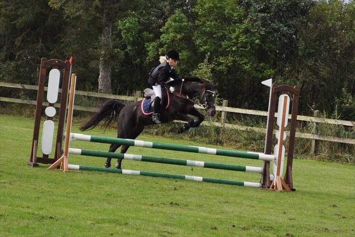 DSP Siverholms Mille - OMSPRING o; -det er noget vi syntes der er sjovt :D billede 5