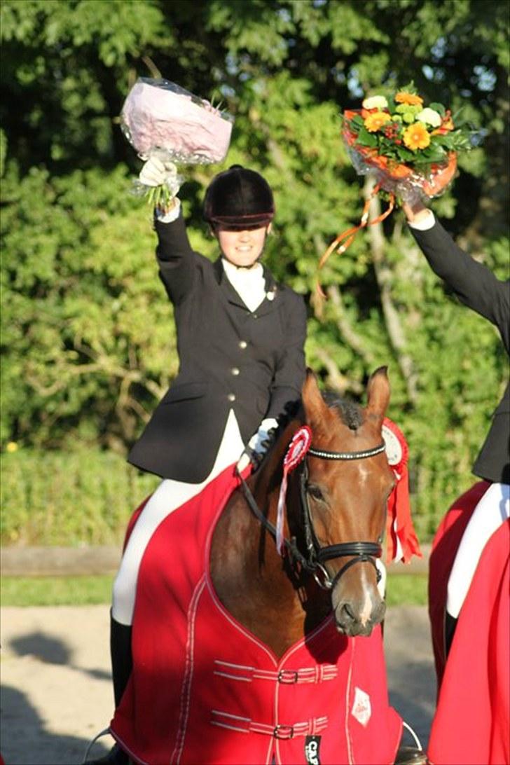 Anden særlig race Ryttergårdens Picasso    - Vinder pony :) billede 19