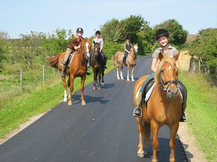 Anden særlig race Corrado - på tur med cassa, verdi og laika..
min mor, to lillesøstre og jeg rider tur på min fødselsdag ;) billede 12
