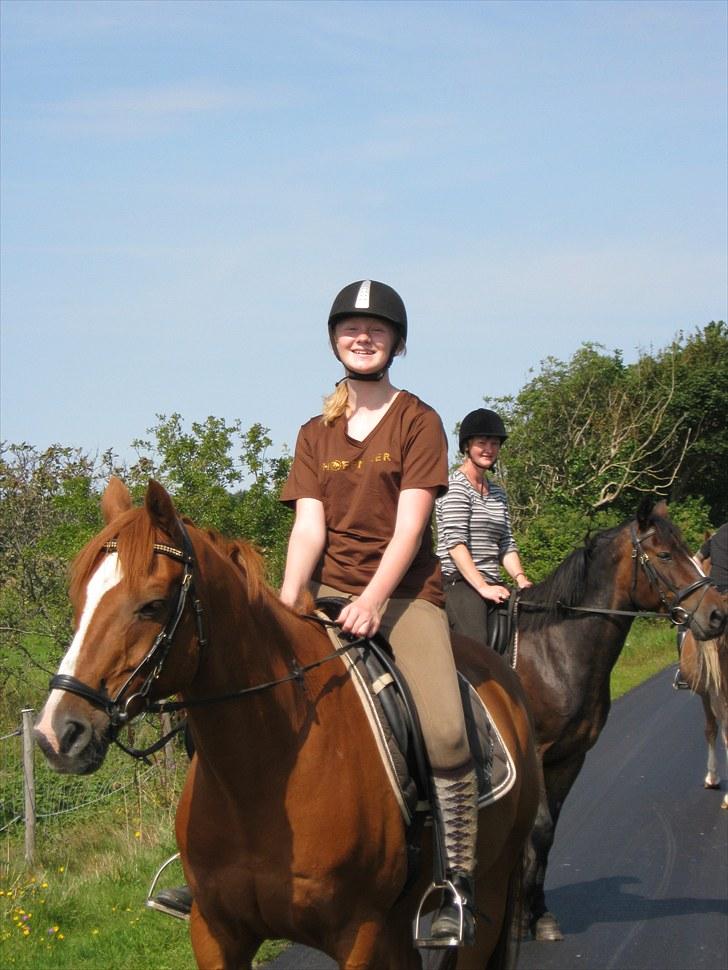 Anden særlig race Corrado - vi er på tur billede 9