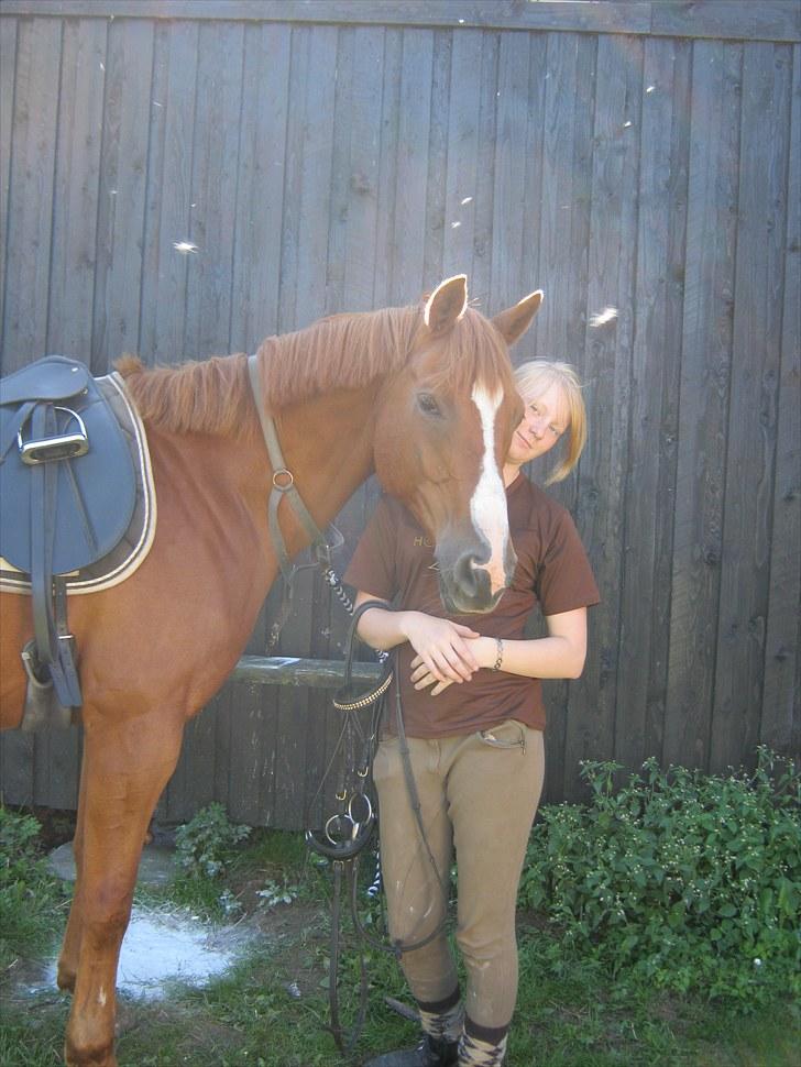 Anden særlig race Corrado - vi sadler op i det gode vejr billede 14