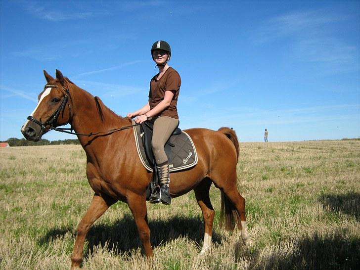 Anden særlig race Corrado - vi er på stumpmarkerne.. chiller :D billede 16