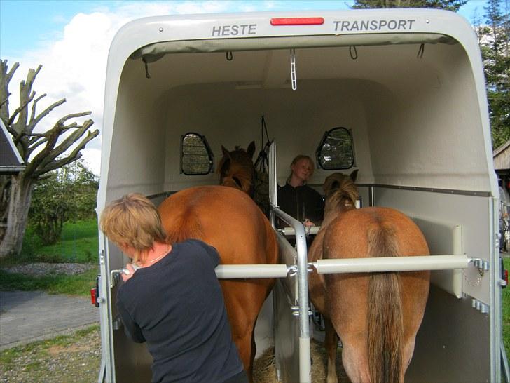 Anden særlig race Corrado - verdi og corrado i traileren billede 11