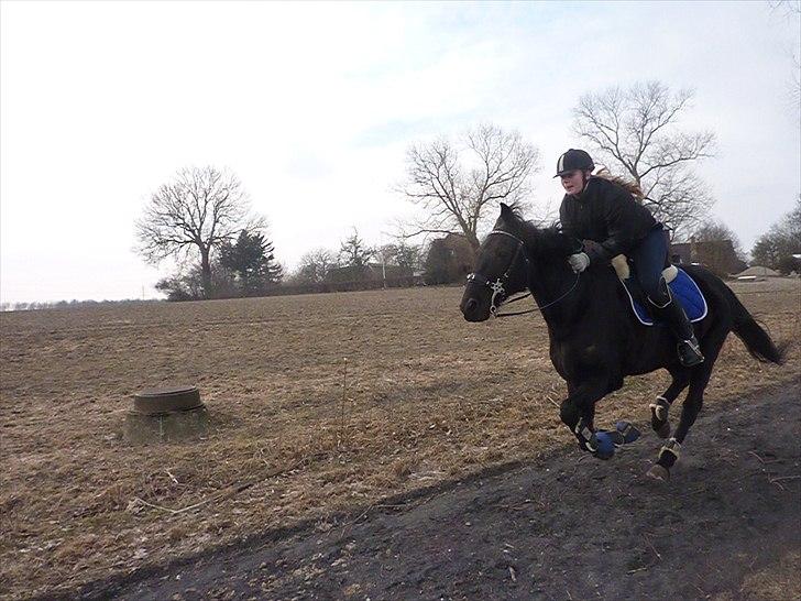 Traver Top Gun - Vi løber til verdens ende sammen. billede 6