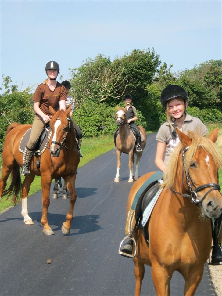 Anden særlig race Cassa billede 15