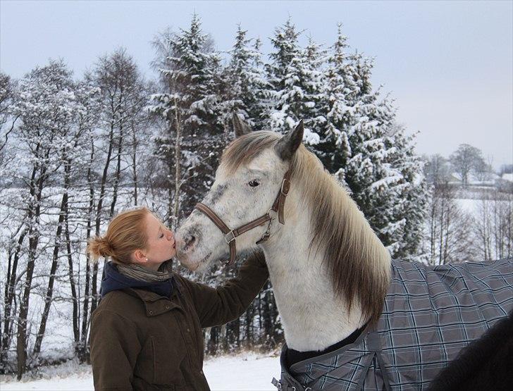 Anden særlig race Athena - Myyyys :* billede 7