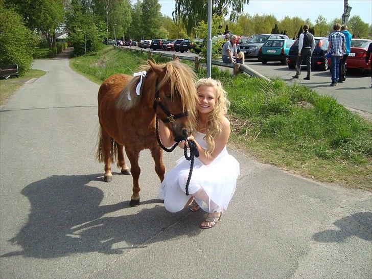 Shetlænder Frederik - Min konfirmation d. 7 Maj billede 9
