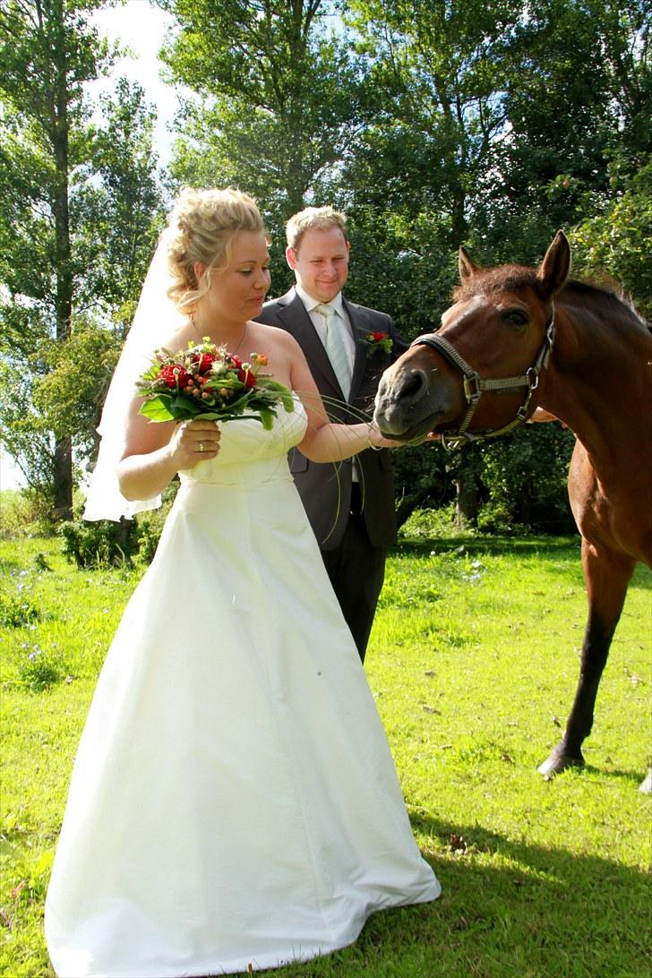 DSP Skovlundegårds Mathilde - Vores byllup d. 28 aug. 2010! Dejlige billeder og minder vi har fra det..  billede 19