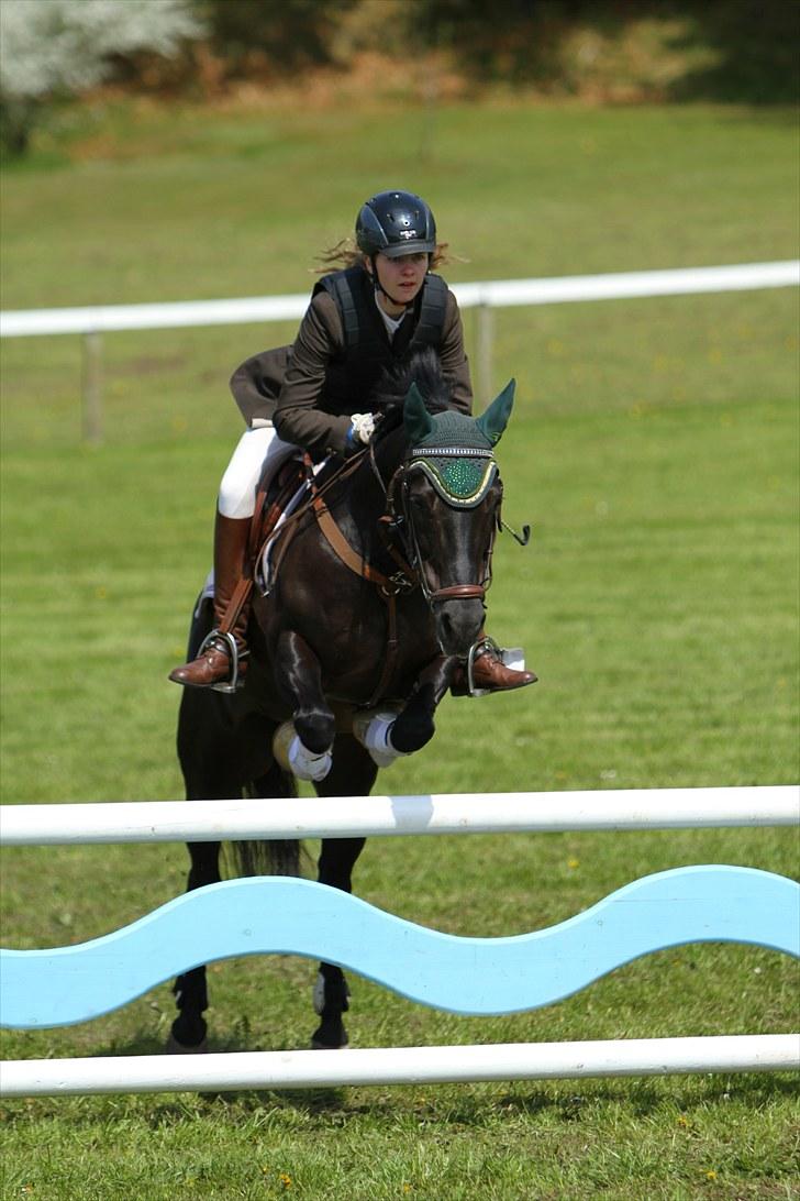 Anden særlig race Dusi<3  billede 15