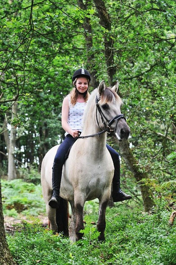 Fjordhest |Ryttergårdens Josephine| - Josephine &&´ Jeg, ridelejr 2010. &#9829; billede 5