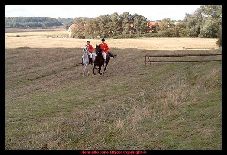 Traver Girl Of Beauty RIP - Hubertus jagt billede 9