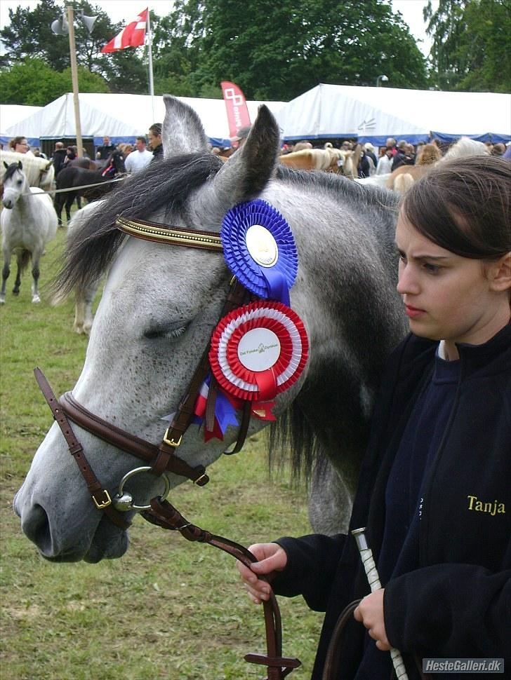 Arabisk fuldblod (OX) Gantrup Fresiah - Mig og Fresiah meget trætte efter et laaang og meget vådt dyreskue :( juni 2010 billede 13