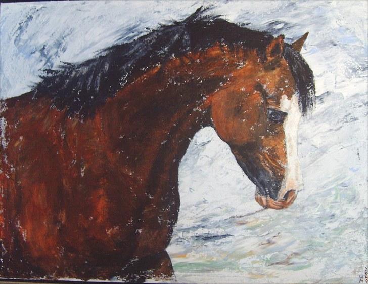 Welsh Pony (sec B) Brookwater Paramount - Maleri af Billy - Foto taget af Jani Pedersen billede 10