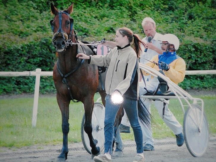 Traver Forever Bit (død) - Efter sejren i Århus billede 5