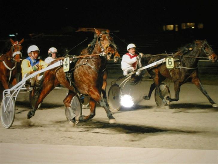 Traver Forever Bit (død) - Sejre i Århus billede 6