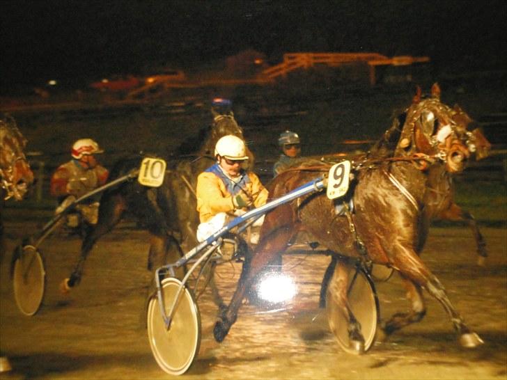 Traver Forever Bit (død) - Sejre i Århus - inden vi købte ham dog med min far som kusk billede 7