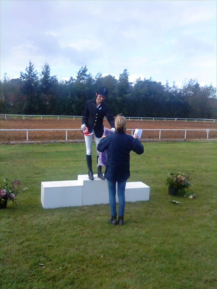 Dansk Varmblod May Daphine - Du gør mig til en vinder!  1.plads Lb1 billede 11