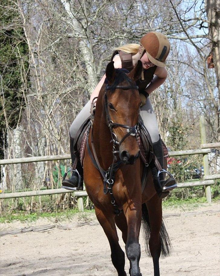 Holstener Pantene Pro-v [tidl. låner] [DØD] - forår 2011 april! jeg elsker dig min prinsesse du får masser af ros & kærlighed fra mig af <3 foto: katrine. billede 7