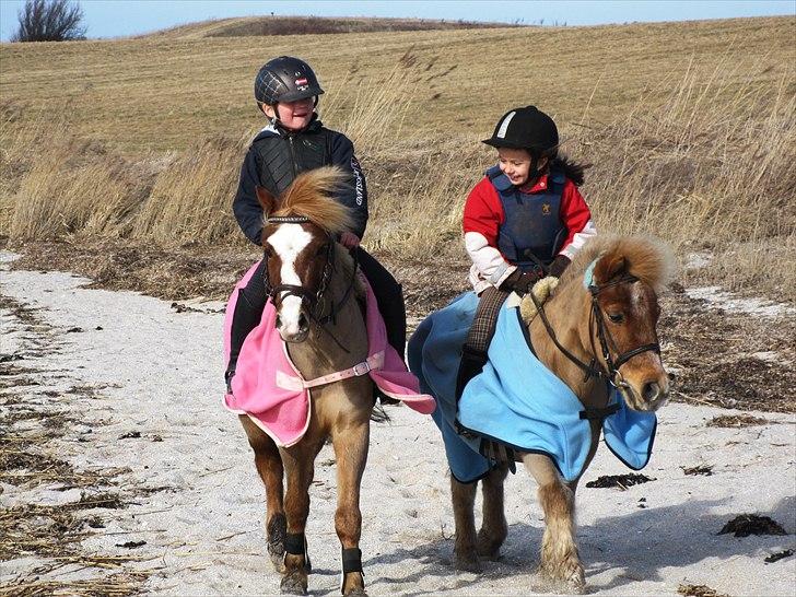 Anden særlig race Florboe's Nemo - Jenni på Nemo og Mia på Nuser rider tur på stranden. 23. marts 2011 billede 8