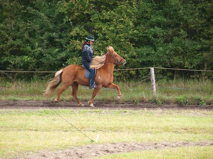 Islænder Freyja fra Akureyri - T.8 A-Finale på ganti banen billede 18