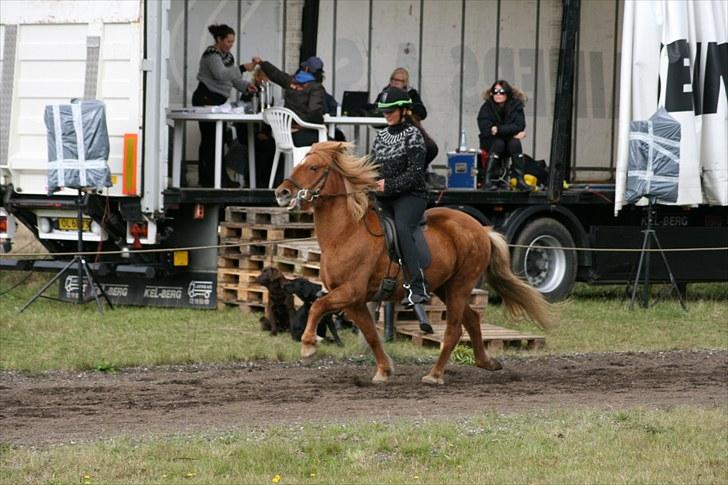 Islænder Freyja fra Akureyri - T.8 A-Finale d.19 september 2010 på Ganti banen billede 19