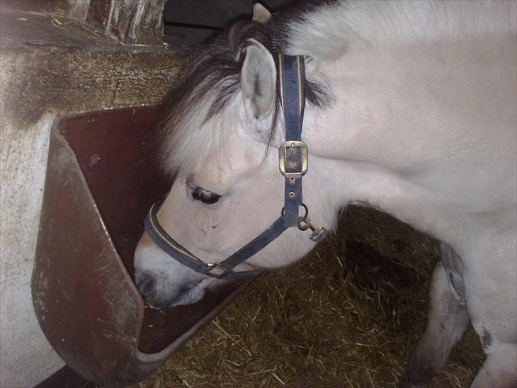 {{currentPhoto.altText}} billede {{currentPhoto.number}}