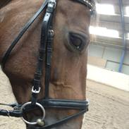 Anden særlig race epsilon