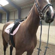 Anden særlig race epsilon