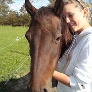 Anden særlig race Moonlight Shadow