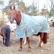 Frederiksborg Argo Toftegaard