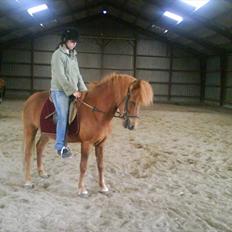 Islænder una fra skyggefaxe