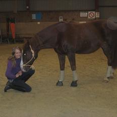 Anden særlig race Safi Rubin (SOLGT)