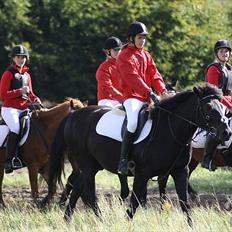 Anden særlig race Patrick GL. Part SAVNET<3