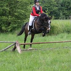 Anden særlig race Patrick GL. Part SAVNET<3