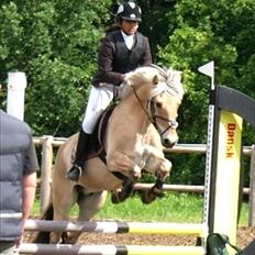 Fjordhest Chaplin. Den beste! :')