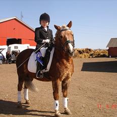 Anden særlig race BobbyHill