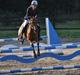 Hollandsk Sportspony Karlien. <3 *b-pony*