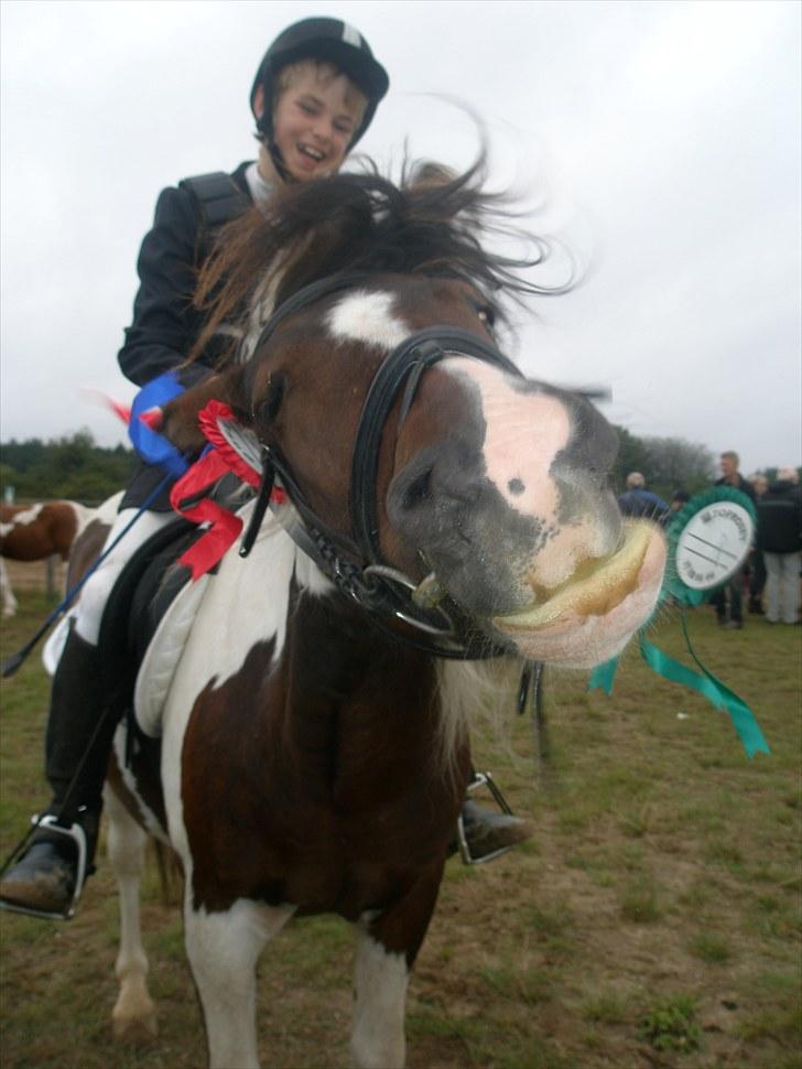 Anden særlig race Hidalgo - Altså alle de præmier - hvordan får jeg dem af billede 10