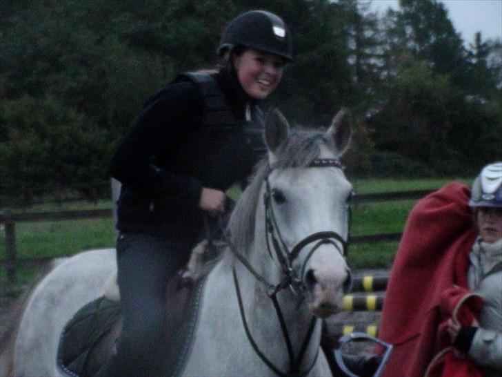 Irsk Sportspony Derrygimlas Atlantic Fox - B pony - Da jeg prøvede den seje (: billede 4