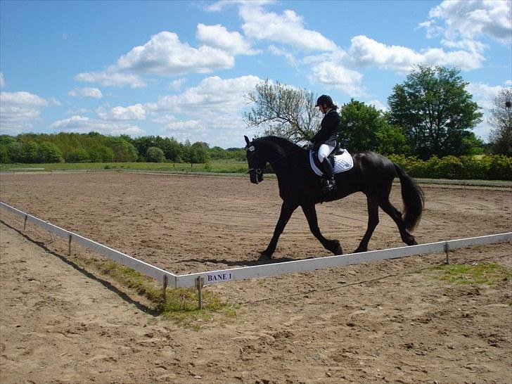 Frieser Tjoke billede 18