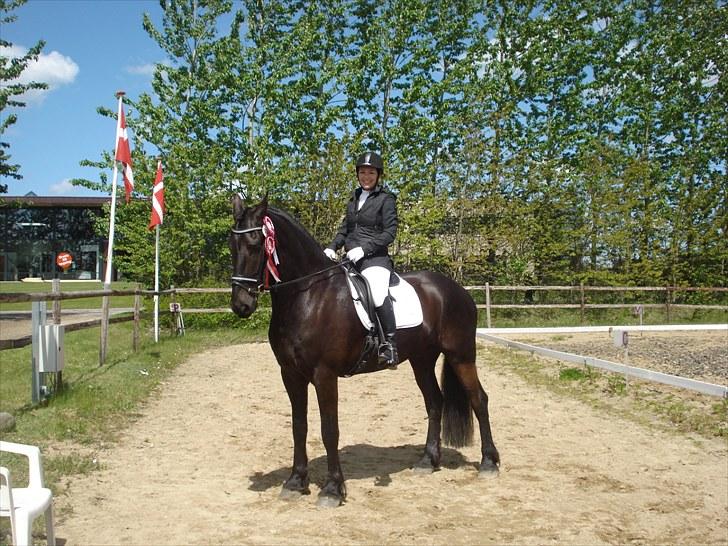 Frieser Tjoke billede 19