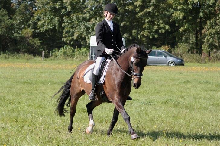 Anden særlig race Bakkelys Felur *Solgt* - Taget af Michelle Greve Nielsen<3 TAK  billede 19