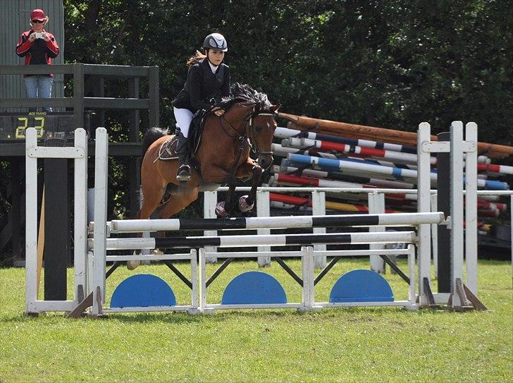 Hollandsk Sportspony Karlien. <3 *b-pony* - 17) SLR 2010 :) billede 17