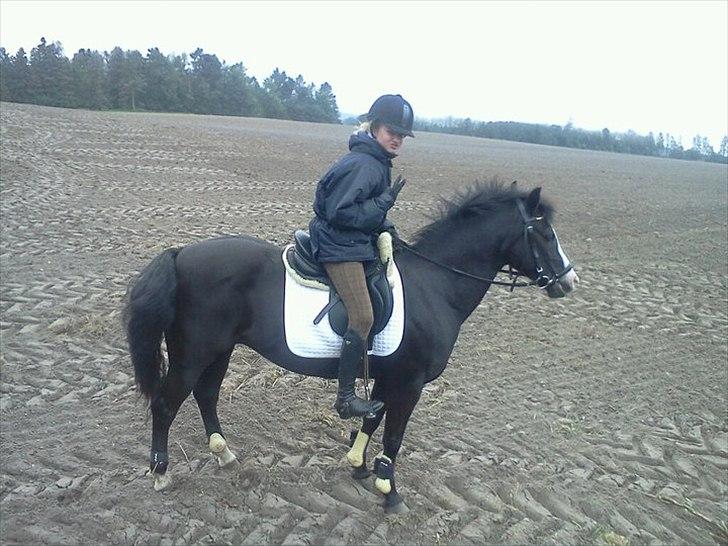 DSP Suprise (Mini) (Tidligere part) - Mig og Mini var lige på tur sammen med Anna og Lucky! Super hyggeligt! :) billede 7