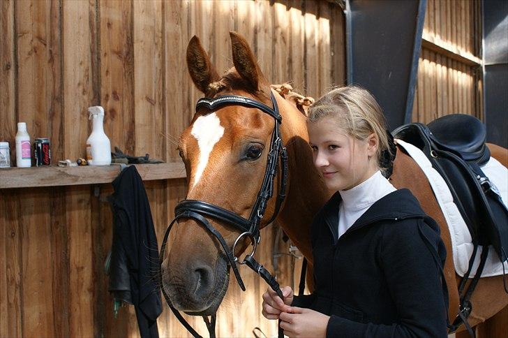 Anden særlig race Alfi - Alfi og jeg til stævne :D billede 14