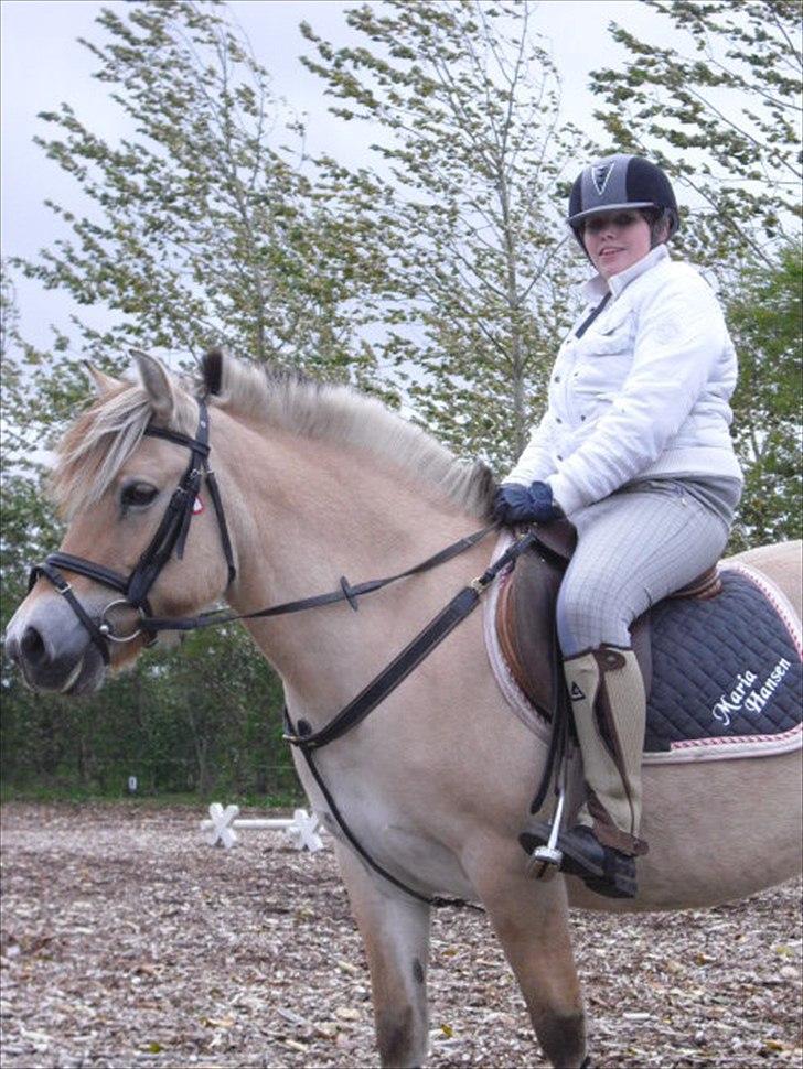 Fjordhest Nette <3 (mor til Molli) •himmelpony• - nyt billede :) mig og nette  i blæsevejr billede 17